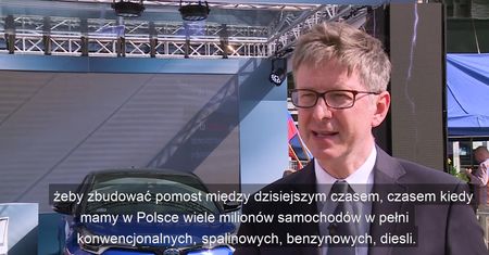 Naukowcy przetestowali hybrydy. To może rozwiązać nasz problem ze smogiem