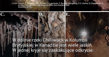 Sposób na superbakterie może kryć się głęboko w jaskiniach