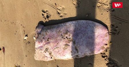 Tajemniczy zabójca z australijskiej plaży