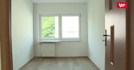 Wojna o lokale zastępcze. Mieszkańcy nazywają je "norami" i "ruderami"