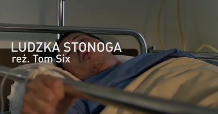 TOP 5: najbardziej odrażające filmy