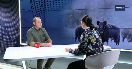 ASF. Myśliwi o wybiciu dzików: "Co to zmieni?"