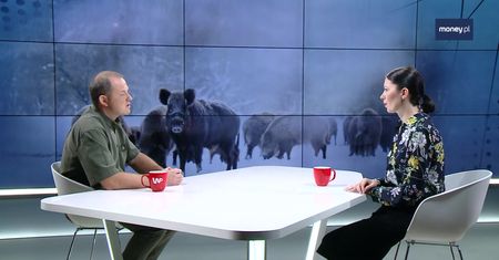 Maty przy wejściu do lasu? "Zacznie się sezon grzybowy, nikt nie dezynfekuje rączek, butów"