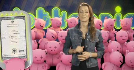 Plotkarnia: Gwiazdy bez matury