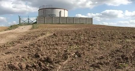 Żywność GMO [Kontrowersje]