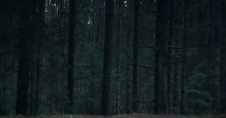 Alan Wake