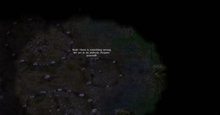Baldur&amp;#8217;s Gate: Enhanced Edition (tak to wygląda)