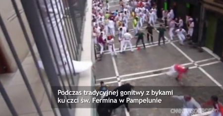 Krwawa gonitwa byków