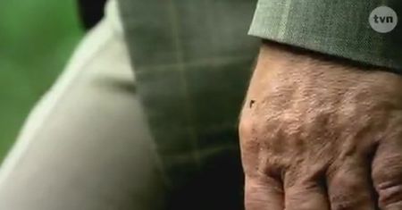 Jak skutecznie walczyć z komarami?