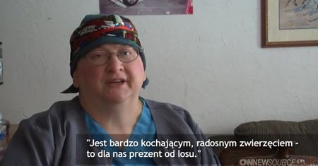 Sarenka gwiazdą internetu