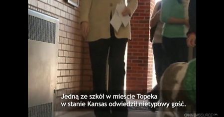 Miniaturowy konik w szkole