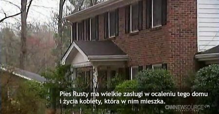 Pies ostrzegł właścicielkę przed pożarem