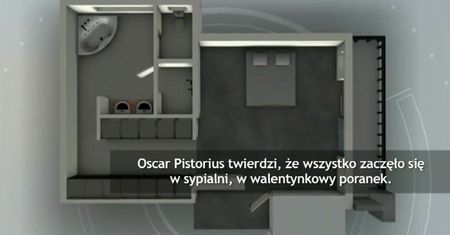 Jak doszło do śmierci Reevy Steenkamp?
