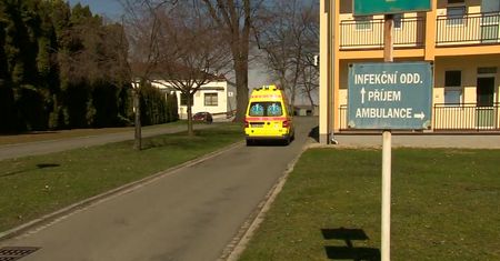 12 zakażeń tasiemcem przy granicy z Polską
