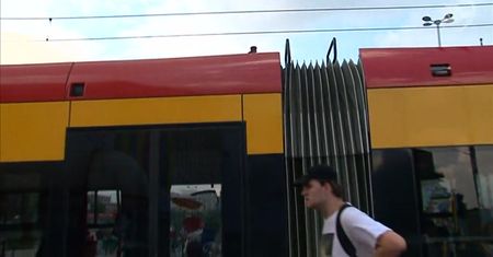 Gniazdo pszczół w centrum Warszawy