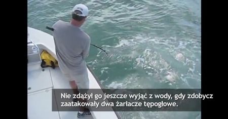 Niecodzienna sytuacja podczas połowu