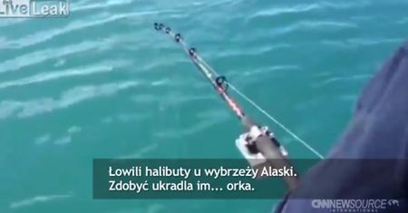 Chwile grozy podczas połowu