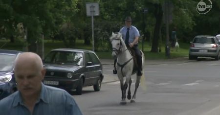 Małopolski radny do pracy konno