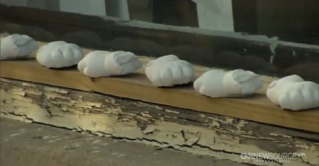 Lekarz mordował płody nożyczkami