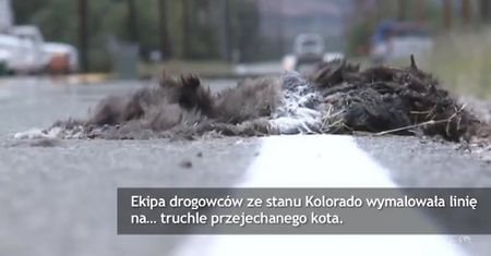 Amerykańscy drogowcy nie są idealni