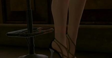Dead Or Alive 5 (Rig)