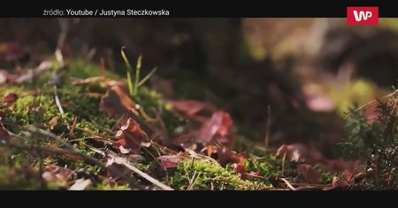 Justyna Steczkowska o Eurowizji i The Voice of Poland. Co dalej z jej muzyką?