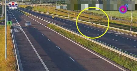 Zaskakujący widok na S19. Rowerzysta jechał drogą ekspresową