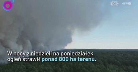 Potężny pożar pod stolicą Francji. Żywioł sparaliżował kolej