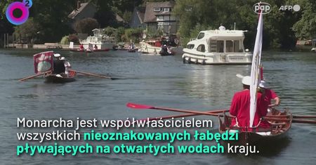 Tak wygląda królewska tradycja na Tamizie. Nagranie robi wrażenie