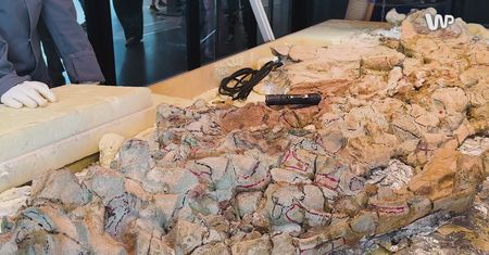 Niektórzy przyjeżdżają tu po kilkadziesiąt razy. Wystarczy dobrze trzymać wiertło