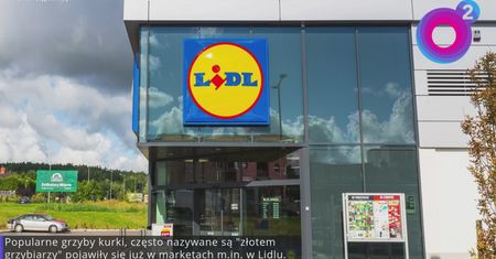 Prawie 140 zł za kilogram. Pojawiły się na półkach w Lidlu