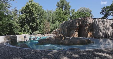 Nowość w stołecznym zoo. "To jedna z najważniejszych inwestycji"