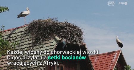 Jest ich więcej niż mieszkańców. Turyści uwielbiają to miejsce