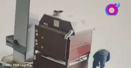 On to naprawdę ukradł. Sceny w Legnicy