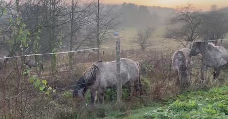 Pojechała do nadmorskiej wsi. Nagle zobaczyła taki widok