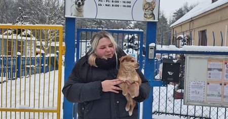 Byliśmy w schronisku. Takie warunki mają psy zimą