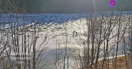 Weszła na lód z wózkiem dziecięcym. Nagranie z Czech