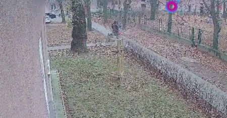 Brutalny atak na seniorkę w Warszawie. Policja pokazała nagranie