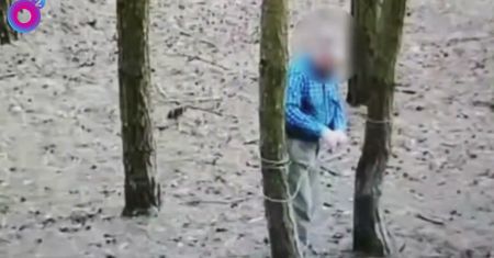 Monitoring znalazł kłusownika. Tak złapano 76-latka