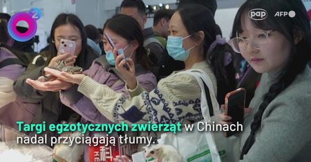 Tłumy na targach w Chinach. Tego raczej nie zobaczysz w typowym domu