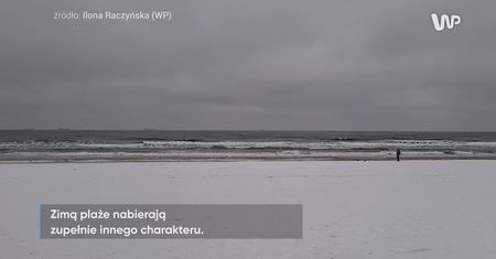 Wideo z plaży w Gdańsku. Była godz. 8 rano