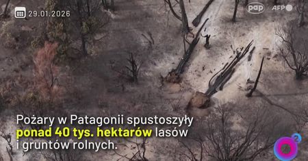 Koszmarne pożary w Patagonii. Poruszające słowa strażaka
