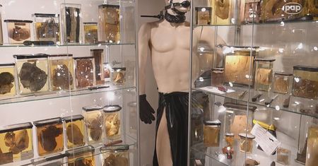 Unikatowe muzeum we Wrocławiu. Jedyne takie miejsce w Polsce
