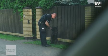 Krążył w pobliżu bramki. Po chwili wszystko stało się jasne