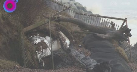 Znikające domy w Suffolk. To najbardziej erodujące miejsce na świecie