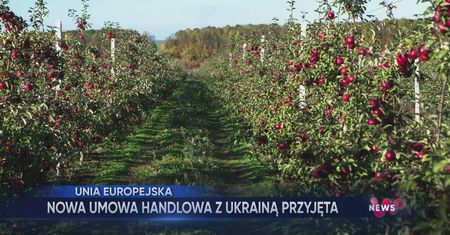 WP News wydanie 15.10