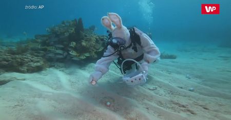 Podwodne polowanie na pisanki w pobliżu Florida Keys