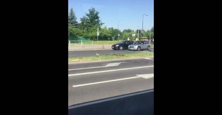 Kierowca SUV-a rozjechał kaczki w Warszawie