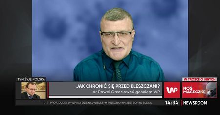 Plaga kleszczy atakuje. Dr Grzesiowski podpowiada, jak sobie z nimi radzić
