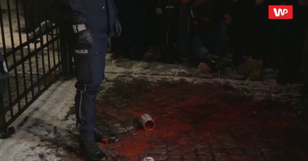 Protest pod TK. Czerwona farba i rzucanie pluszakami